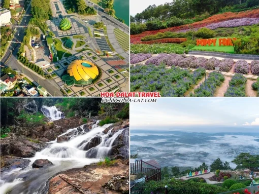 Các điểm đến hấp dẫn trong tour Bến Tre đi Đà Lạt 4 ngày 3 đêm như quảng trường Lâm Viên, Puppy Farm, thác Datanla, Langbiang Đà Lạt