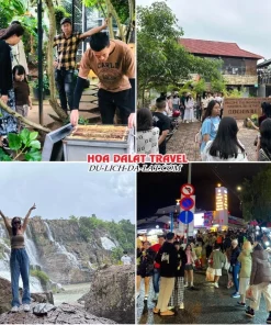 Lịch trình chiều ngày 3 tour Bến Tre Đà Lạt ghép đoàn 4 ngày 3 đêm ghé thăm nông trại nuôi ong, Cường Hoàn Silk, Thác Pongour tự do khám phá Đà Lạt về đêm