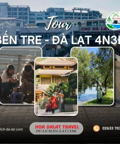 Tour Bến Tre Đà Lạt 4 ngày 3 đêm