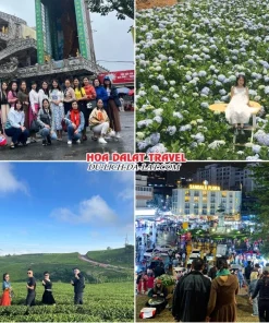 Lịch trình chiều ngày 1 tour Biên Hoà Đà Lạt trọn gói 4 ngày 3 đêm tham quan Chùa Linh Phước, Đồi hoa Cẩm Tú Cầu, Đồi chè Cầu Đất, tự do khám phá chợ đêm Đà Lạt