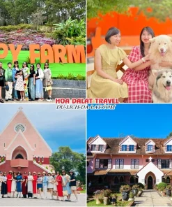 Lịch trình sáng ngày 4 tour Biên Hoà Đà Lạt trọn gói 4 ngày 3 đêm Ghé thăm Puppy Farm, Nhà thờ Domaine De Marie