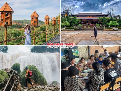 Lịch trình sáng ngày 3 tour Biên Hoà Đà Lạt ghép đoàn 4 ngày 3 đêm tham quan Mê Linh Garden Coffee, Chùa Linh Ẩn, Thác Voi, dùng bữa trưa