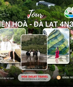 Tour Biên Hoà Đà Lạt 4 ngày 3 đêm