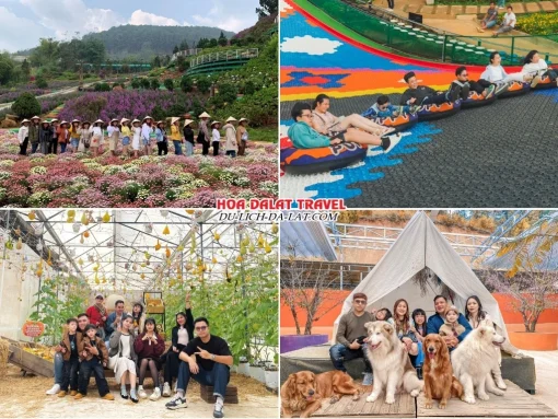 Lịch trình sáng ngày 3 tour Bình Dương Đà Lạt trọn gói 4 ngày 3 đêm khám phá Nông trại cún Puppy Farm, chơi trượt phao khô tại Puppy Farm, tham quan vườn rau