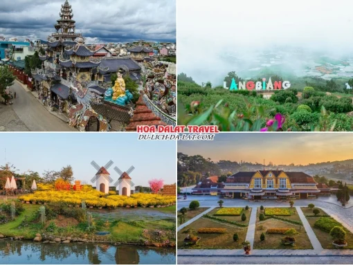 Những điểm đến thú vị trong tour Bình Dương đi Đà Lạt 4 ngày 3 đêm tham quan chùa Ve Chai, Langbiang, Mongo Land, nhà ga Đà Lạt