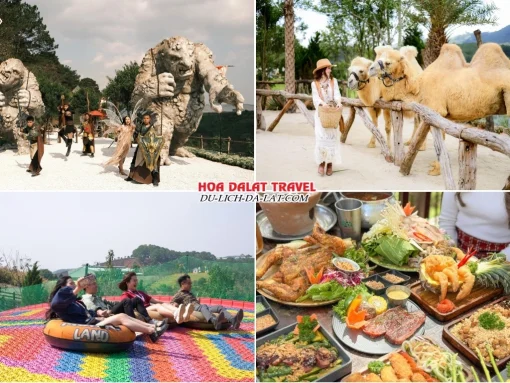 Lịch trình sáng ngày 3 tour Bình Dương Đà Lạt ghép đoàn 4 ngày 3 đêm khám phá GOD Valley, Mongo Land, chơi trượt phao khô, dùng bữa trưa