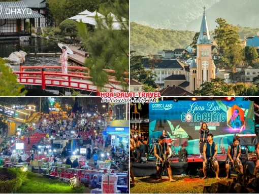 Lịch trình chiều, tối ngày 3 tour Bình Dương Đà Lạt ghép đoàn 4 ngày 3 đêm khám phá Hoàng Long Ohayo, Nhà thờ Con Gà, Dạo quanh chợ đêm Đà Lạt hoặc Tham gia chương trình giao lưu văn hóa Cồng Chiêng Tây Nguyên