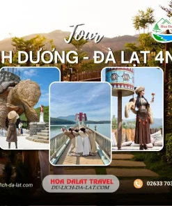 Tour Bình Dương Đà Lạt 4 ngày 3 đêm