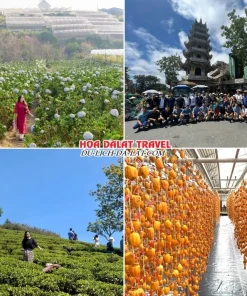 Lịch trình chiều ngày 1 tour Bình Phước Đà Lạt trọn gói 4 ngày 3 đêm tham quan Cánh đồng hoa Cẩm Tú Cầu, Đồi chè Cầu Đất, Chùa Linh Phước, Vườn hồng treo gió