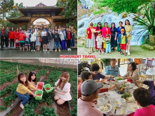 Lịch trình sáng ngày 4 tour Bình Phước Đà Lạt trọn gói 4 ngày 3 đêm tham quan Thiền viện Trúc Lâm, Thác Datanla, Vườn dâu tây, thưởng thức bữa trưa tại một nhà hàng