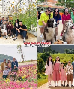 Lịch trình sáng ngày 4 tour Phan Thiết Đà Lạt trọn gói 4 ngày 3 đêm ghé thăm Nông trại cún Puppy Farm, The Florest Đà Lạt