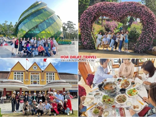 Lịch trình sáng ngày 1 tour Cà Mau Đà Lạt trọn gói 4 ngày 3 đêm tham quan Quảng trường Lâm Viên, Vườn hoa Thành phố, Nhà Ga Đà Lạt, dùng bữa trưa tại nhà hàng