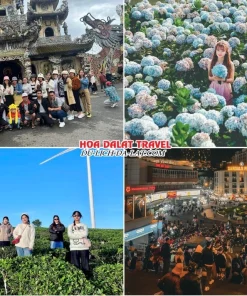 Lịch trình chiều ngày 1 tour Cà Mau Đà Lạt trọn gói 4 ngày 3 đêm tham quan Chùa Linh Phước, Vườn hoa Cẩm Tú Cầu, Đồi chè Cầu Đất, tự do khám phá Đà Lạt về đêm