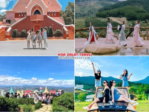 Lịch trình chiều ngày 2 tour Cà Mau Đà Lạt trọn gói 4 ngày 3 đêm tham quan Nhà thờ Domaine De Marie, Mongo Land Đà Lạt, Khu du lịch Langbiang Đà Lạt