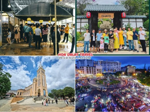 Lịch trình chiều ngày 3 tour Cà Mau Đà Lạt trọn gói 4 ngày 3 đêm tham quan Làng Nấm Đà Lạt, Hoàng Long Ohayo, Nhà thờ Con Gà, tự do khám phá Đà Lạt về đêm