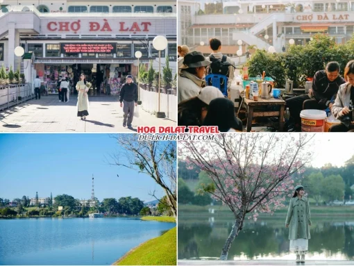 Lịch trình sáng ngày 1 tour Cà Mau Đà Lạt ghép đoàn 4 ngày 3 đêm tham quan chợ Đà Lạt, dạo quanh hồ Xuân Hương