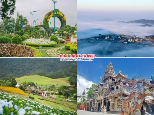 Những điểm đến đặc sắc trong tour Cà Mau đi Đà Lạt 4 ngày 3 đêm như vườn hoa thành phố Đà Lạt, Langbiang, The Florest, chùa Linh Phước Đà Lạt