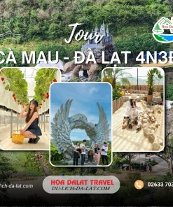 Tour Cà Mau Đà Lạt 4 ngày 3 đêm