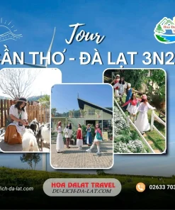 Tour Cần Thơ Đà Lạt 3 ngày 2 đêm