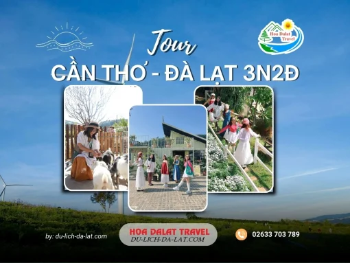 Tour Cần Thơ Đà Lạt 3 ngày 2 đêm