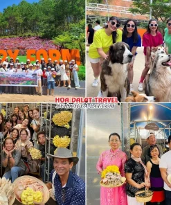 Lịch trình sáng ngày 3 tour Cần Thơ Đà Lạt 3 ngày 2 đêm trọn gói tham quan Nông trại cún Puppy Farm và Làng Nấm