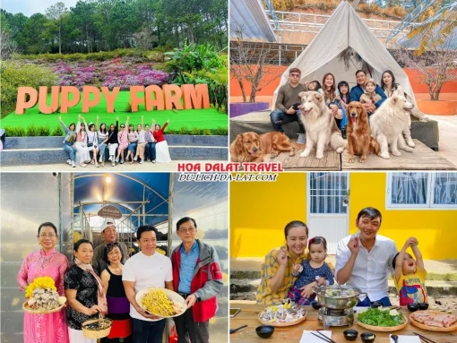 Lịch trình sáng ngày 2 tour Cần Thơ Đà Lạt trọn gói 4 ngày 3 đêm khám phá Trang Trại Cún Puppy Farm, Làng Nấm, dùng bữa trưa