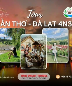 Tour Cần Thơ Đà Lạt 4 ngày 3 đêm