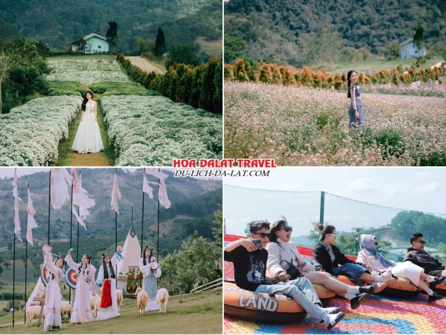 Lịch trình sáng ngày 2 tour Cần Thơ Nha Trang Đà Lạt ghép đoàn 5 ngày 4 đêm tham quan The Florest – Hoa Trong Rừng, Mongo Land, chơi trượt phao khô tại Mongo Land
