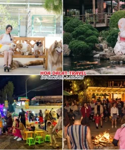 Lịch trình chiều, tối ngày 2 tour Cần Thơ Nha Trang Đà Lạt ghép đoàn 5 ngày 4 đêm tham quan Nông trại cún Puppy Farm, Hoàng Long Ohayo, Dạo quanh chợ đêm Đà Lạt hoặc Tham gia chương trình giao lưu văn hóa Cồng Chiêng