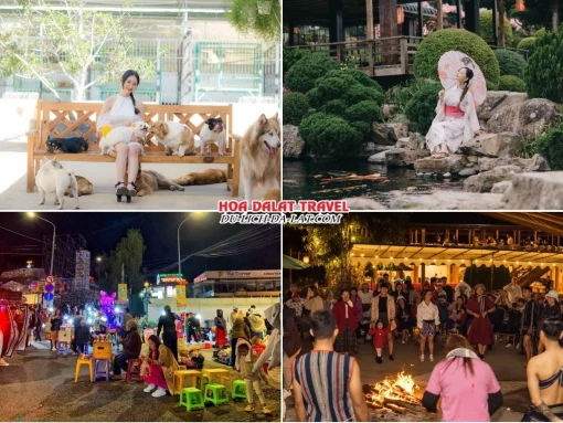 Lịch trình chiều, tối ngày 2 tour Cần Thơ Nha Trang Đà Lạt ghép đoàn 5 ngày 4 đêm tham quan Nông trại cún Puppy Farm, Hoàng Long Ohayo, Dạo quanh chợ đêm Đà Lạt hoặc Tham gia chương trình giao lưu văn hóa Cồng Chiêng