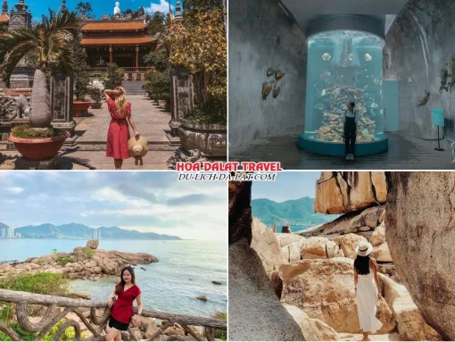 Lịch trình chiều ngày 3 tour Cần Thơ Nha Trang Đà Lạt ghép đoàn 5 ngày 4 đêm tham quan Chùa Long Sơn, Viện Hải Dương Học Nha Trang, Hòn Chồng