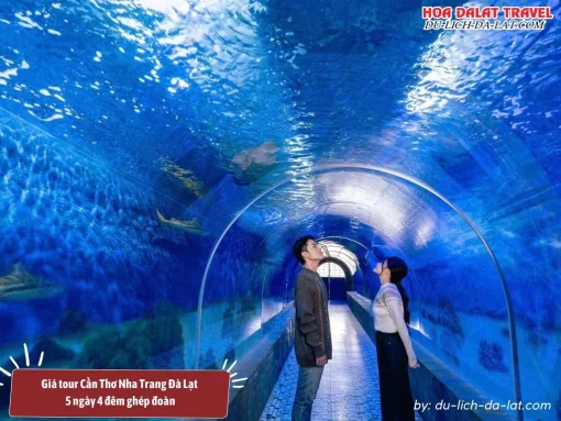 Giá tour ghép đoàn Cần Thơ Nha Trang Đà Lạt 5 ngày 4 đêm từ 3.200.000 đồng đến 5.200.000 đồng 1 người