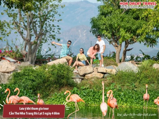 Lưu ý khi tham gia tour Cần Thơ Nha Trang Đà Lạt 5N4Đ