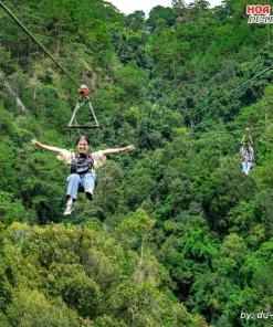 Đi zipline xuyền rừng ở khu du lịch thác Datanla Đà Lạt