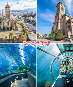 Lịch trình sáng ngày 2 tour Cần Thơ Nha Trang Đà Lạt trọn gói 5 ngày 4 đêm tham quan Nhà Thờ Chánh Tòa Nha Trang, Viện Hải Dương Học