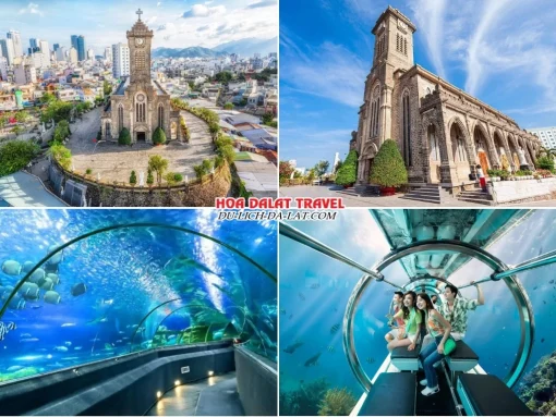 Lịch trình sáng ngày 2 tour Cần Thơ Nha Trang Đà Lạt trọn gói 5 ngày 4 đêm tham quan Nhà Thờ Chánh Tòa Nha Trang, Viện Hải Dương Học