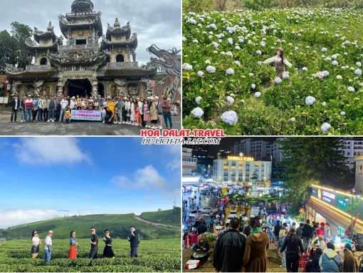 Lịch trình chiều, tối ngày 1 tour Đà Lạt trọn gói 5 ngày 4 đêm tham quan Chùa Linh Phước, Đồi hoa Cẩm Tú Cầu, Đồi chè Cầu Đất, tự do khám phá Đà Lạt về đêm