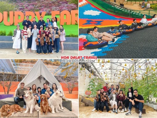 Lịch trình sáng ngày 2 tour Đà Lạt trọn gói 5 ngày 4 đêm tham quan Nông Trại Cún Puppy Farm, chơi trượt phao khô, kham phá các khu vườn cà chua