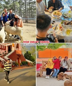 Lịch trình ngày 3 tour Đà Lạt hè 3 ngày 2 đêm ghép đoàn tham quan Sở thú Zoodoo, dùng bữa trưa, tham quan Nhà thờ Domaine De Marie, Puppy Farm