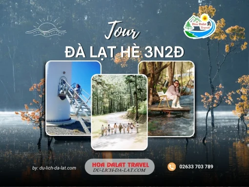 Tour Đà Lạt hè 3 ngày 2 đêm