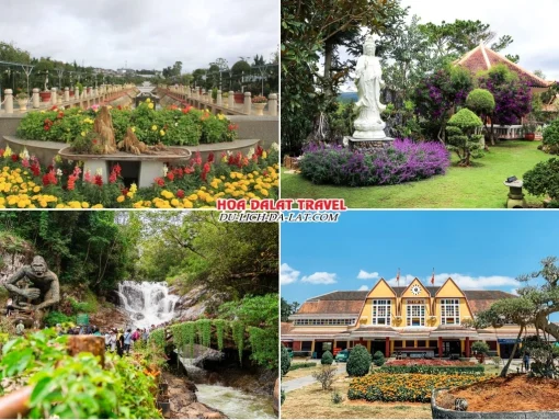 Những điểm đến hấp dẫn trong tour Đà Lạt hè 4 ngày 3 đêm như vườn hoa thành phố, thiền viện Trúc Lâm, thác Datanla, nhà ga Đà Lạt