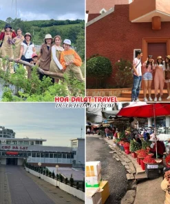 Lịch trình sáng ngày 3 tour Đà Lạt lễ 2 tháng 9 trọn gói 3 ngày 2 đêm tham quan vườn dâu tây, Nhà thờ Domaine De Marie, chợ Đà Lạt