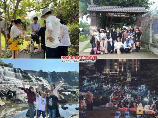 Lịch trình chiều ngày 2 tour Đà Lạt Lễ 2 tháng 9 trọn gói 4 ngày 3 đêm tham quan Nông Trại Ong, Cường Hoàn Silk, Thác Pongour, tự do khám phá chợ đêm Đà Lạt