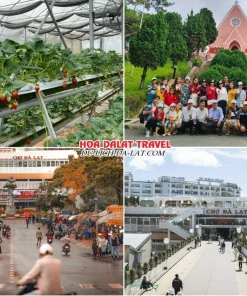 Lịch trình sáng ngày 4 tour Đà Lạt Lễ 2 tháng 9 trọn gói 4 ngày 3 đêm tham quan Vườn dâu tây, Nhà thờ Domaine De Marie, Chợ Đà Lạt