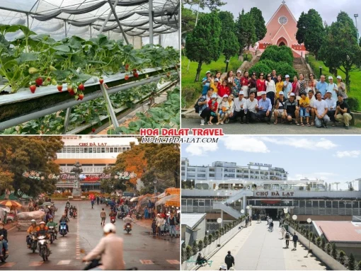 Lịch trình sáng ngày 4 tour Đà Lạt Lễ 2 tháng 9 trọn gói 4 ngày 3 đêm tham quan Vườn dâu tây, Nhà thờ Domaine De Marie, Chợ Đà Lạt