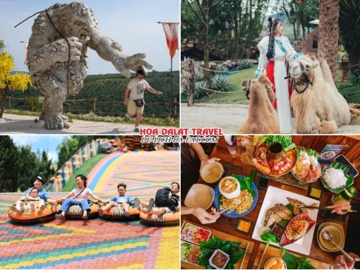 Lịch trình sáng ngày 3 tour Đà Lạt Lễ 2 tháng 9 ghép đoàn 4 ngày 3 đêm Check in GOD Valley, Mongo Land, chơi trượt phao khô tại Mongo Land, dùng bữa trưa tại một nhà hàng