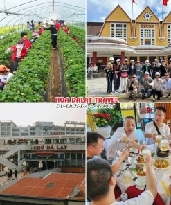 Lịch trình sáng ngày 3 tour Đà Lạt lễ 30 tháng 4 trọn gói 3 ngày 2 đêm ghé thăm Vườn dâu tây, Nhà Ga Xe Lửa Đà Lạt, Chợ Đà Lạt, thưởng thức bữa trưa