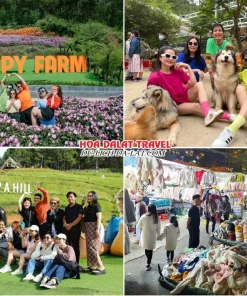 Lịch trình chiều ngày 1 tour Đà Lạt Lễ 30 tháng 4 trọn gói 4 ngày 3 đêm tham quan Nông Trại Cún Puppy Farm, Dapa Hill, dùng bữa tối, khám phá thành phố Đà Lạt về đêm