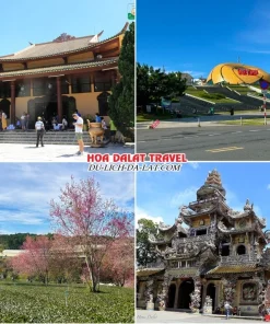 Những điểm đến hấp dẫn trong tour đi Đà Lạt Tết Âm Lịch 4 ngày 3 đêm như thiền viện Trúc Lâm, quảng trường Lâm Viên, đồi chè Cầu Đất, chùa Linh Phước Đà Lạt