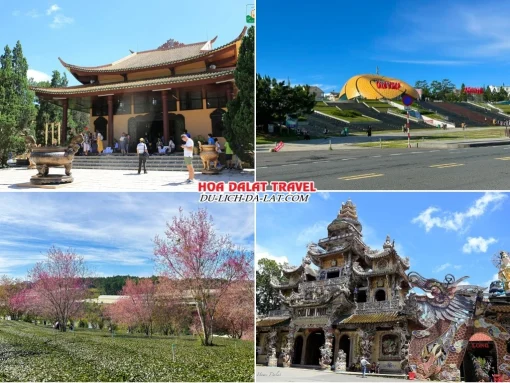 Những điểm đến hấp dẫn trong tour đi Đà Lạt Tết Âm Lịch 4 ngày 3 đêm như thiền viện Trúc Lâm, quảng trường Lâm Viên, đồi chè Cầu Đất, chùa Linh Phước Đà Lạt